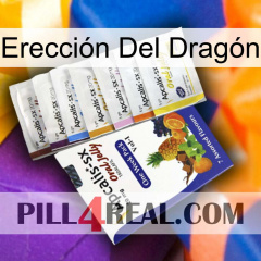 Erección Del Dragón 11